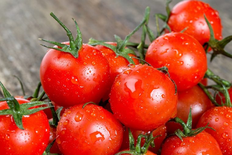 Tomatoes Rich in Lycopene Protect Collagen