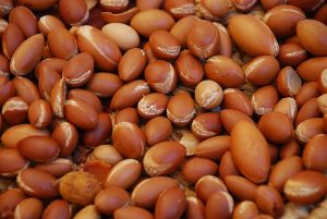 Argan Nuts